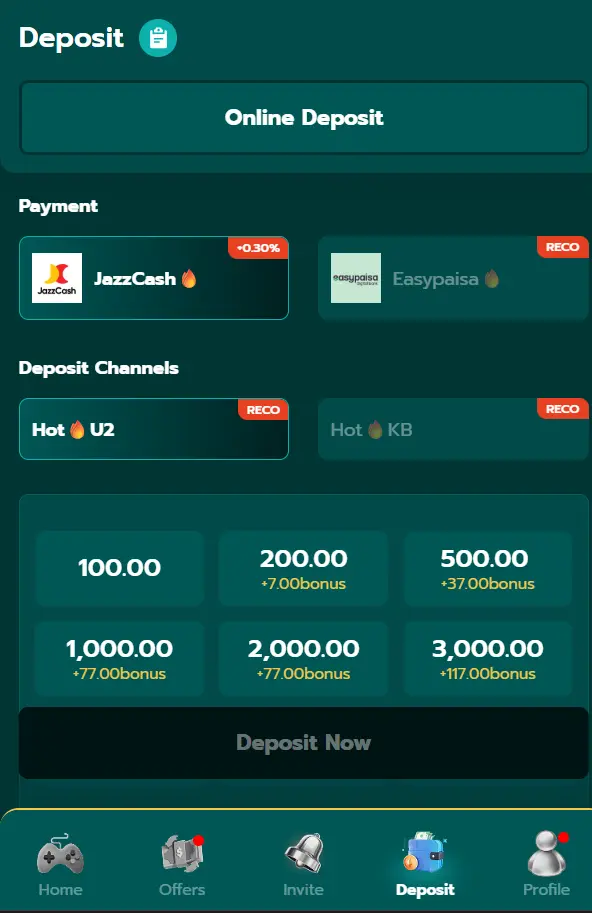 1PPP Game deposit section showing available payment options