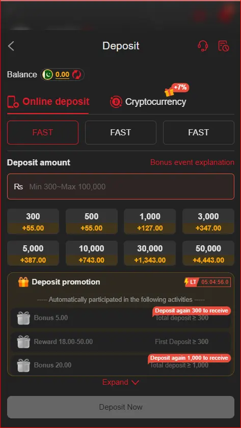 Deposit page showing account payment options
